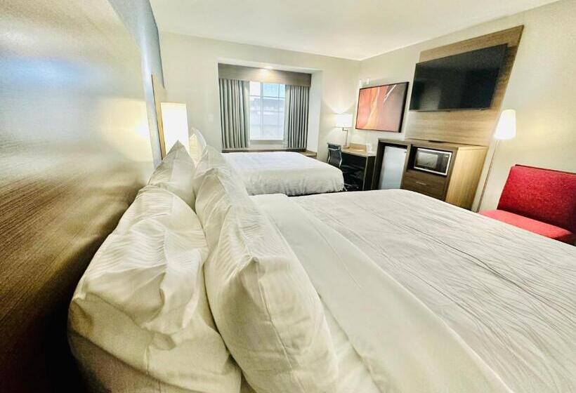 스탠다드 룸, Best Western Bellemont Shadow Mountain Inn