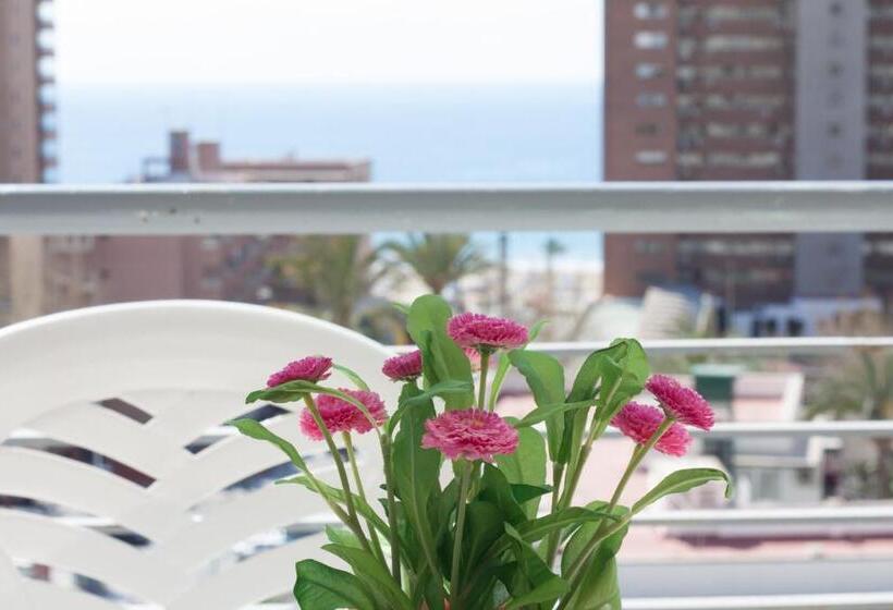 آپارتمان 1 خوابه, Apartamentos Niza