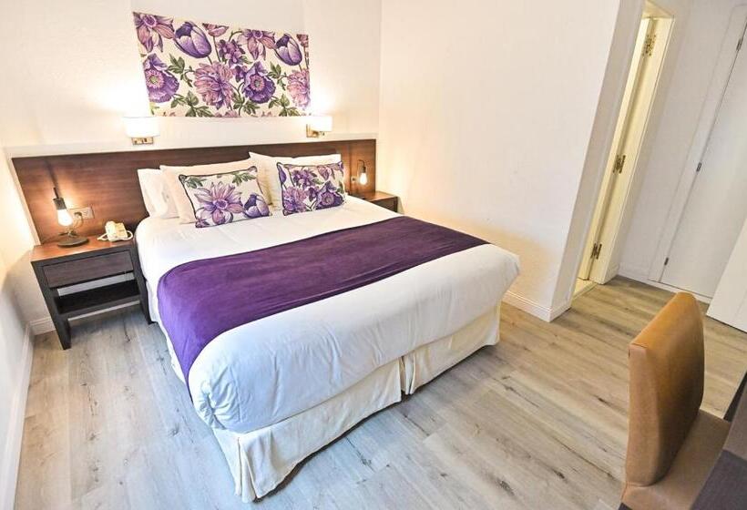 スーペリアールーム, Denver Mar Del Plata