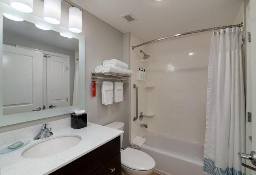 إستوديو قياسى سرير كينج, Towneplace Suites By Marriott Dallas Mckinney