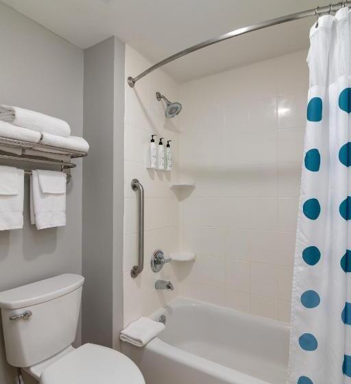 带2个卧室的套房, Towneplace Suites By Marriott Dallas Mckinney