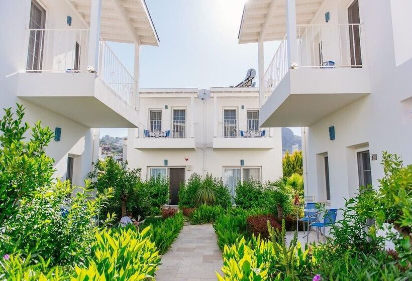 标准三人间, Via Farilya