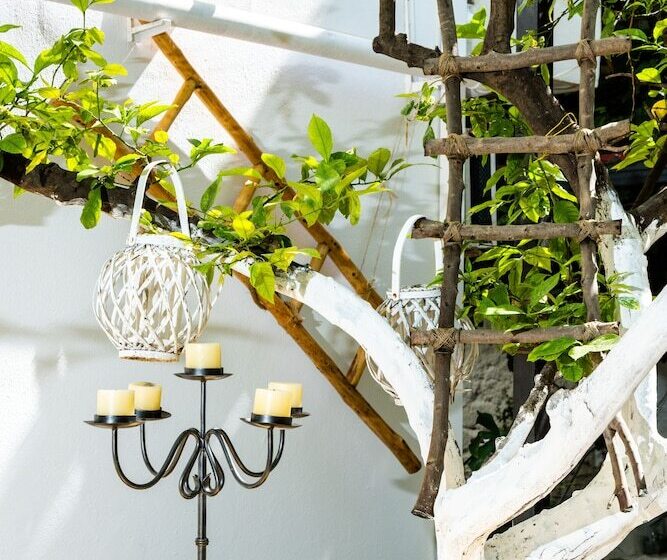 エコノミーワンルーム, Lefka Hotel & Apartments