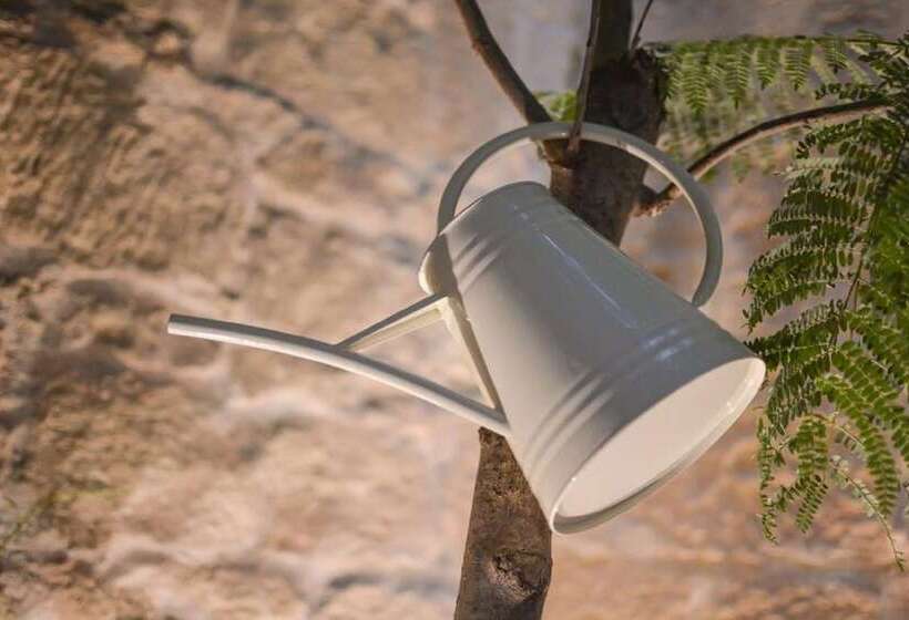 اتاق سوپریور, The Vincent