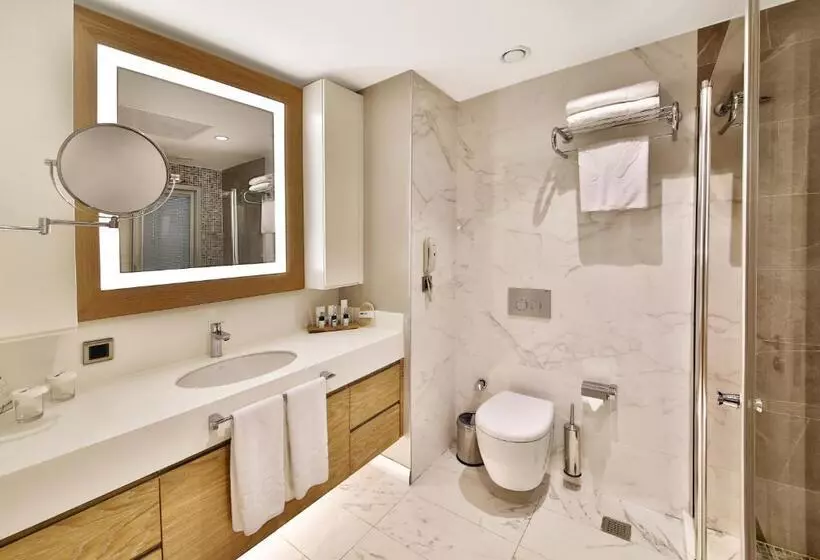 Suite, Bof Hotels Ceo Suites Atasehir
