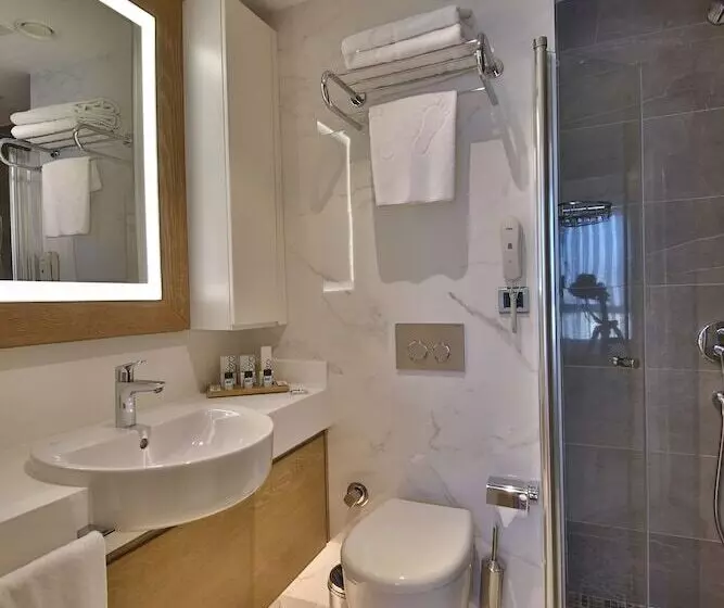 Suite, Bof Hotels Ceo Suites Atasehir
