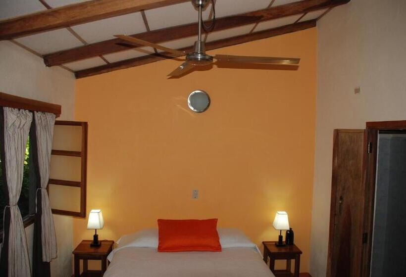 اتاق استاندارد, Casa Barcelona