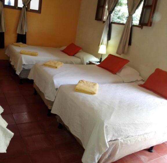 اتاق خانوادگی, Casa Barcelona