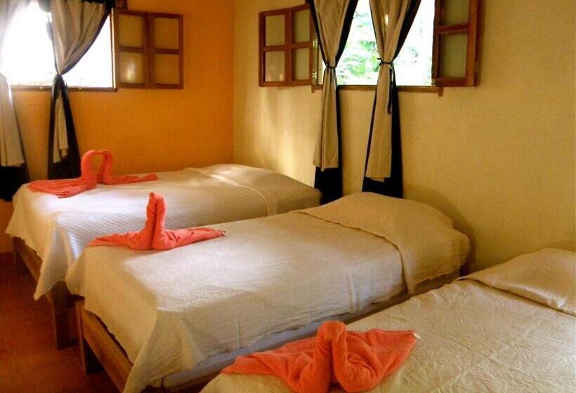 اتاق خانوادگی, Casa Barcelona