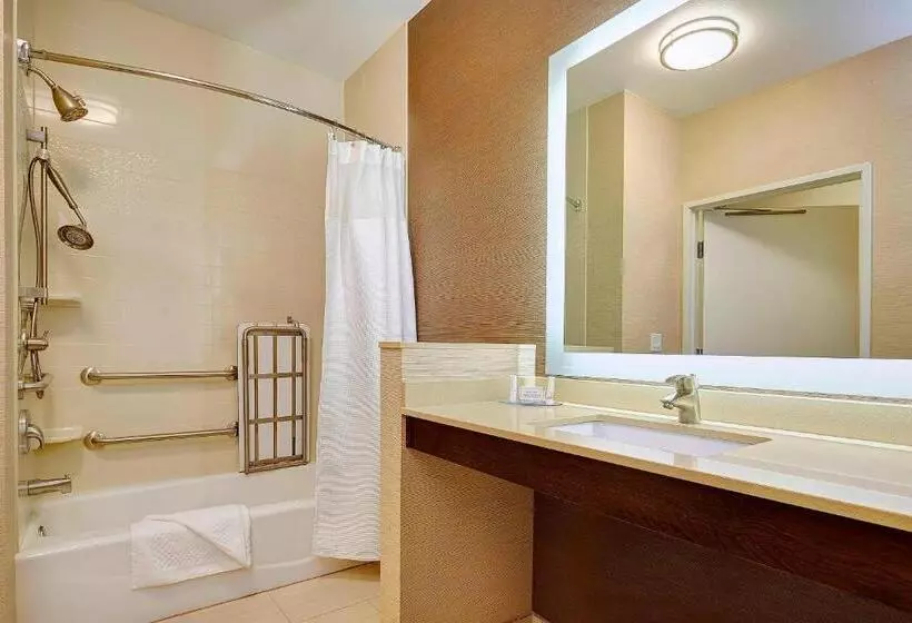 اتاق استاندارد با تخت بزرگ, Fairfield Inn & Suites By Marriott San Diego Carlsbad