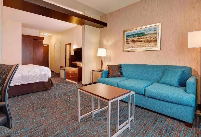 سوئیت با تخت بزرگ, Fairfield Inn & Suites By Marriott San Diego Carlsbad