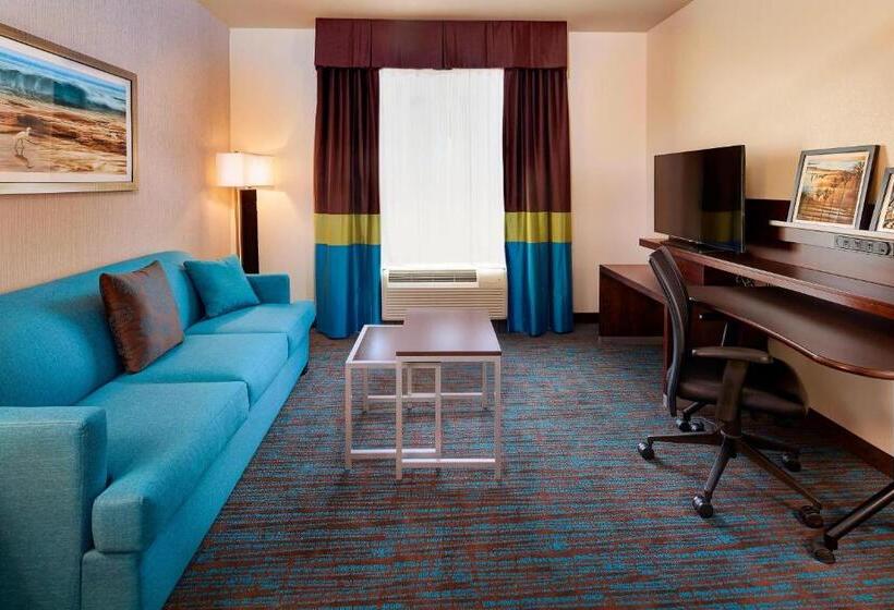 带大床的套房, Fairfield Inn & Suites By Marriott San Diego Carlsbad