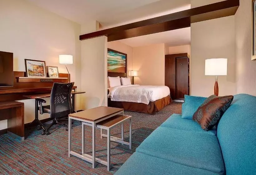 سوئیت با تخت بزرگ, Fairfield Inn & Suites By Marriott San Diego Carlsbad