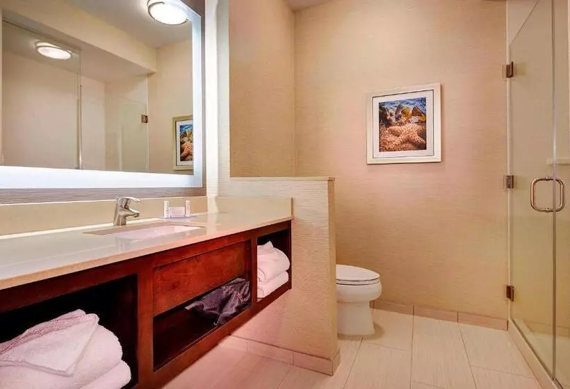 سوئیت با تخت بزرگ, Fairfield Inn & Suites By Marriott San Diego Carlsbad