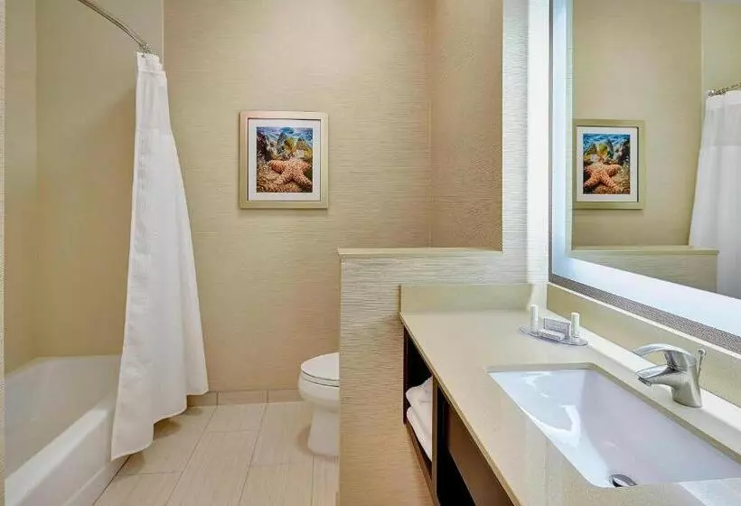سوییت, Fairfield Inn & Suites By Marriott San Diego Carlsbad