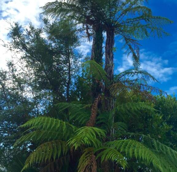 חדר דלוקס עם מיטת קינג, Franz Josef Oasis