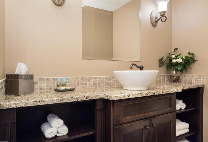 Executive-sviitti King-vuode, The Castle At Swan Lake