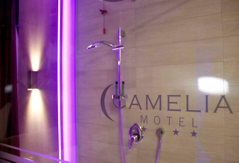 Номер Стандарт, Camelia