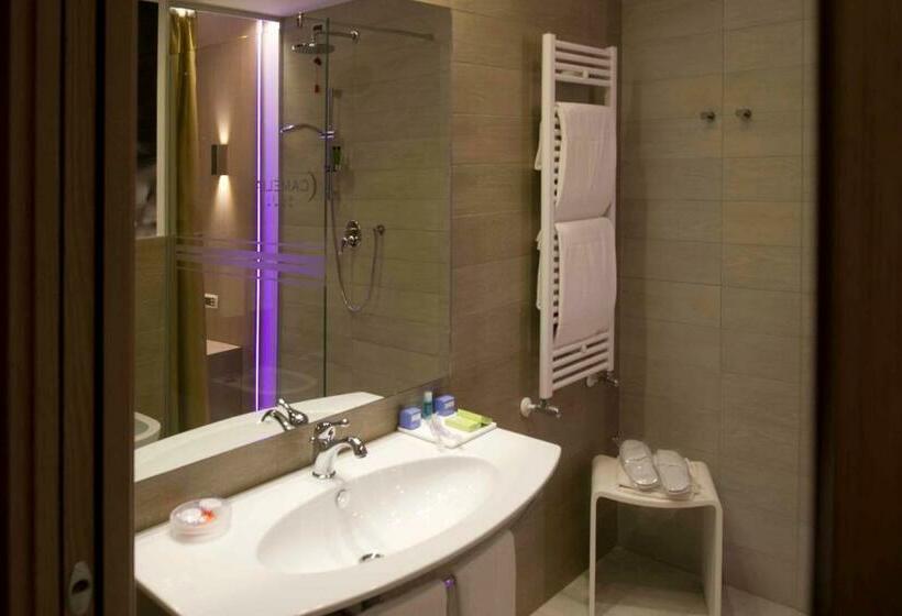 Номер Стандарт, Camelia