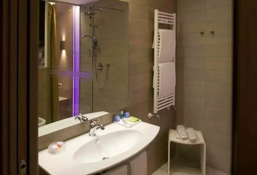 Quarto standard, Camelia