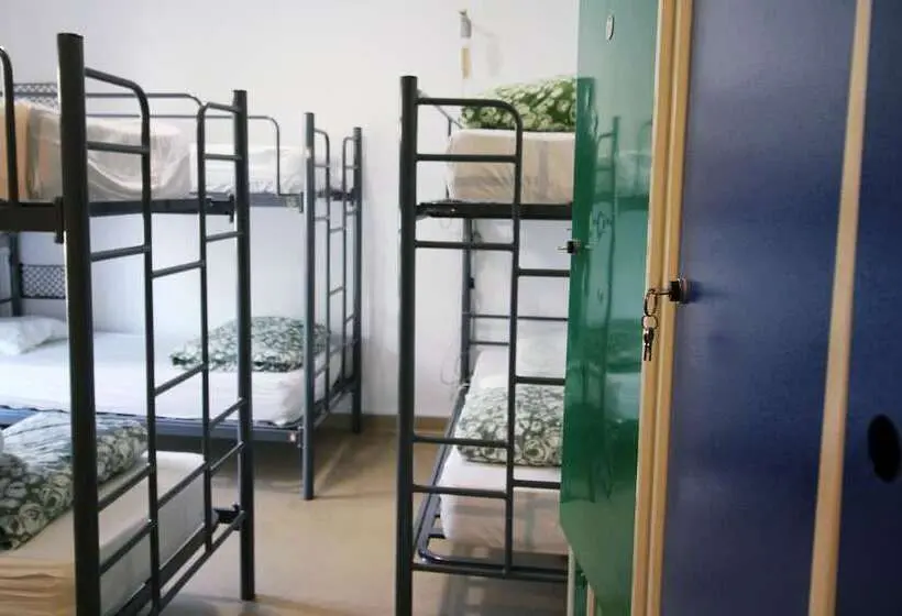 Bed in Shared Room, WOT Nomad Social