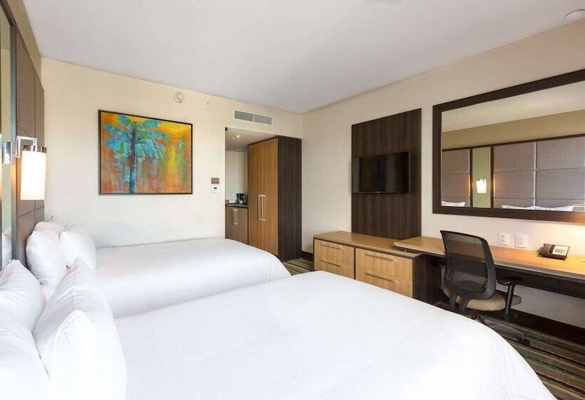 带2个双人床的标准工作室, Hilton Garden Inn San Jose La Sabana