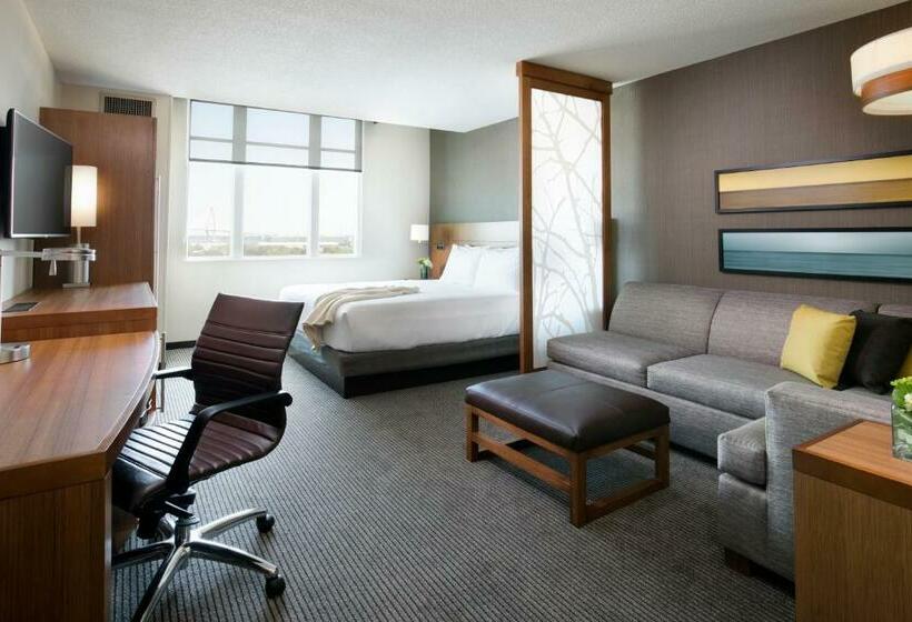 Номер Стандарт Кровать Кинг Адаптированный для Инвалидов, Hyatt Place Charleston Historic District