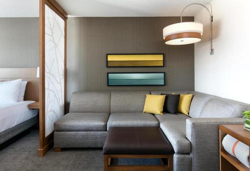 Стандартный Номер Кровать Кинг, Hyatt Place Charleston Historic District