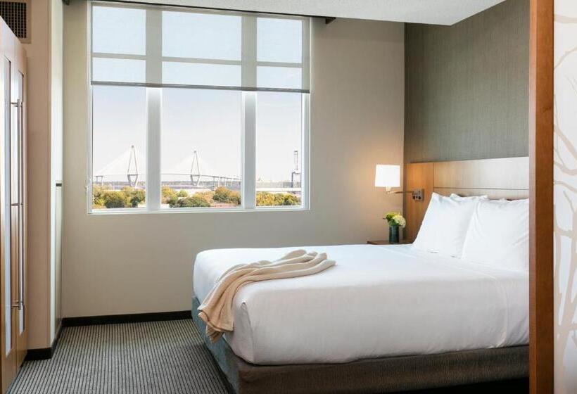 Стандартный Номер Кровать Кинг, Hyatt Place Charleston Historic District