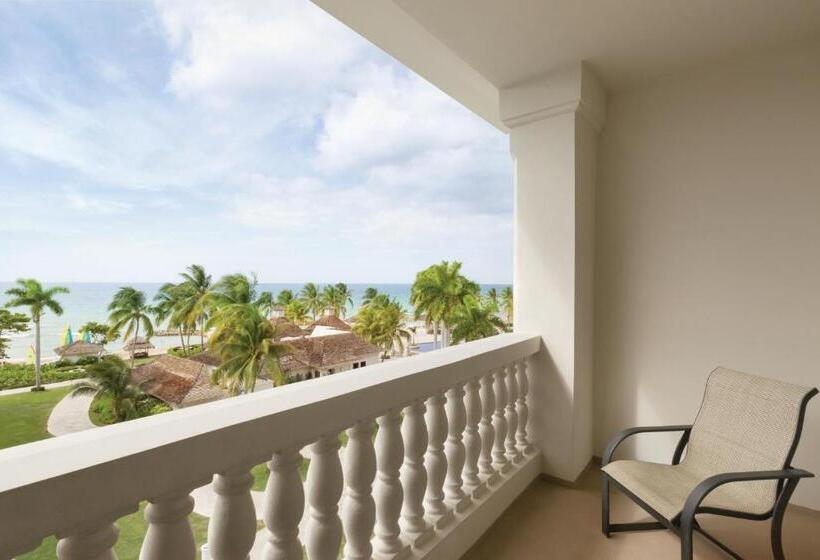 اتاق استاندارد با تخت بزرگ, Hyatt Ziva Rose Hall All Inclusive