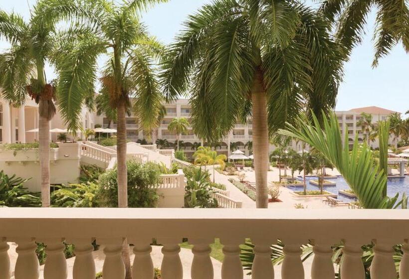 اتاق استاندارد, Hyatt Ziva Rose Hall All Inclusive