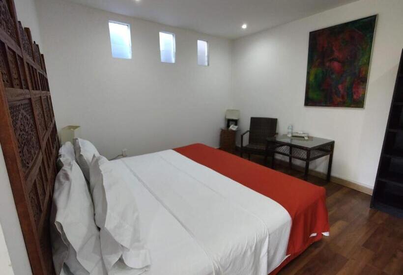 اتاق سوپریور با تخت بزرگ, La Joyita Cuernavaca
