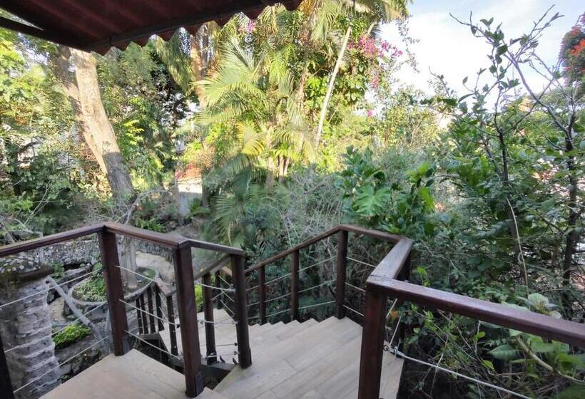 キングサイズベッドのスーペリアルーム, La Joyita Cuernavaca