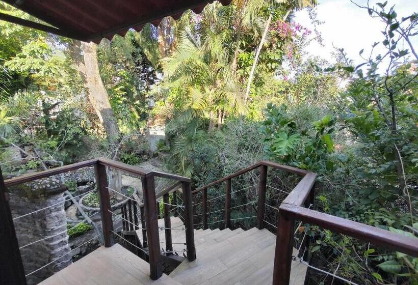 اتاق سوپریور با تخت بزرگ, La Joyita Cuernavaca