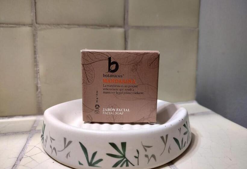 スーペリアールーム, La Joyita Cuernavaca