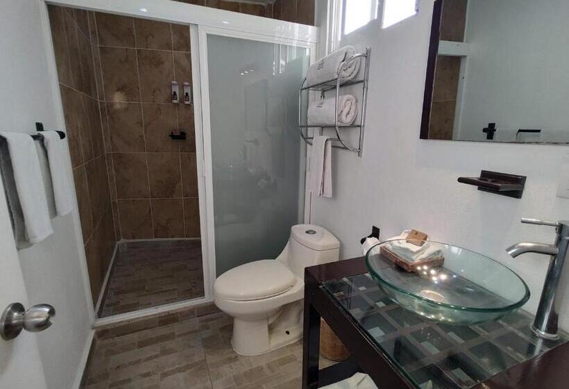 اتاق سوپریور, La Joyita Cuernavaca