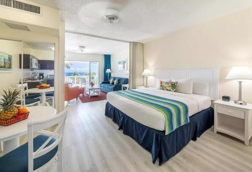 سوئیت با تخت بزرگ, La Vista Resort