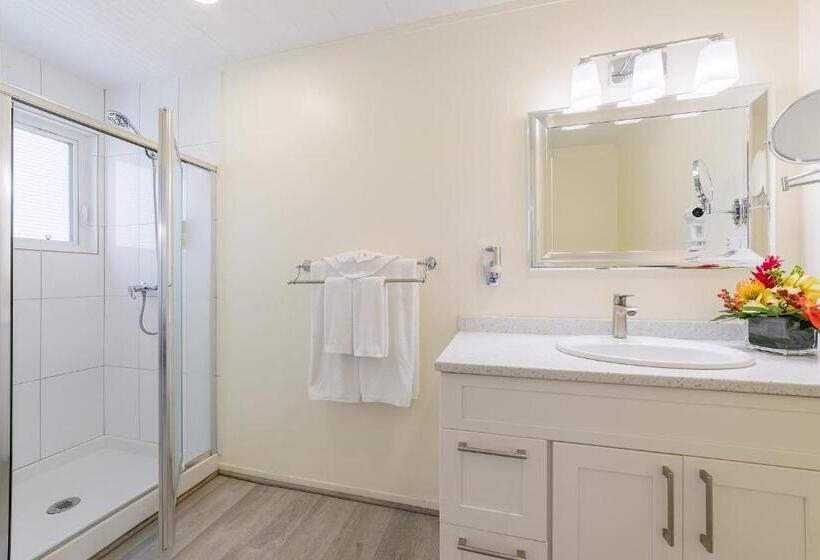 1 Bedroom Penthouse Apartment, La Vista Resort