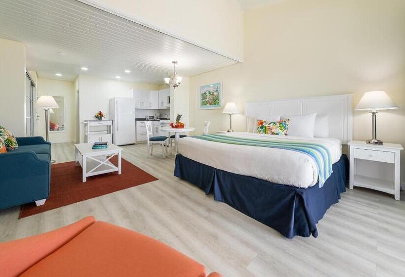 سوییت لوکس, La Vista Resort