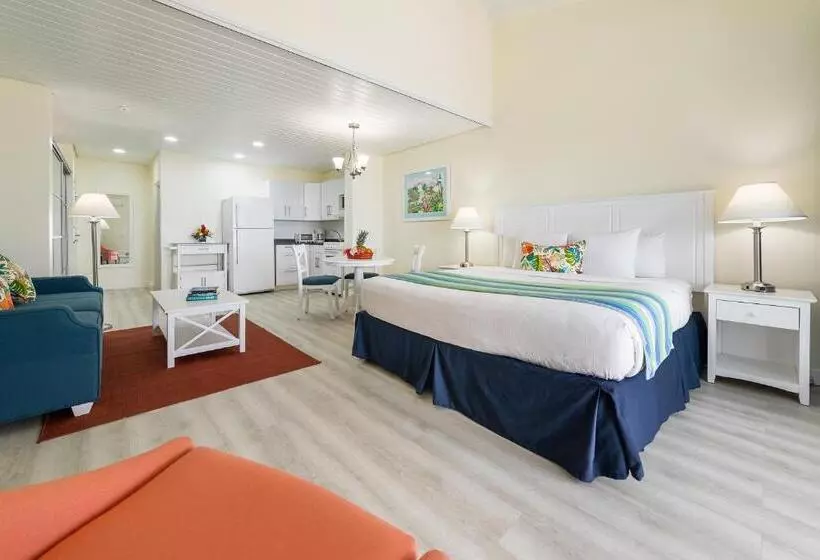 سوییت لوکس, La Vista Resort