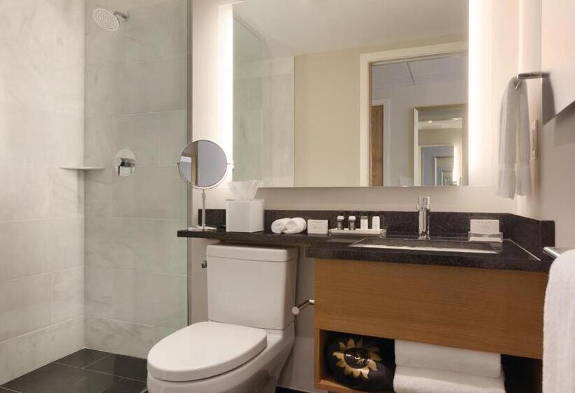 带大床的行政房间, Executive Hotel Le Soleil New York