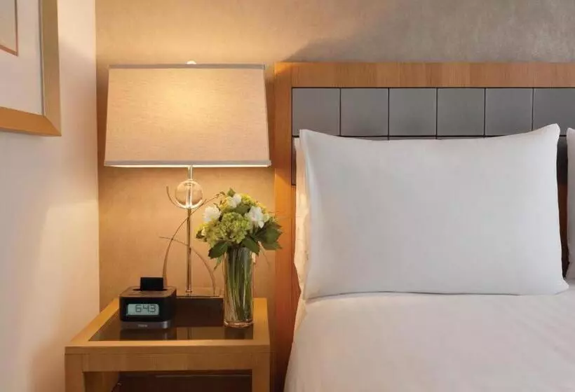 Executive-sviitti, Executive Hotel Le Soleil New York
