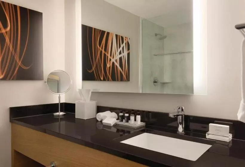 Executive-sviitti, Executive Hotel Le Soleil New York