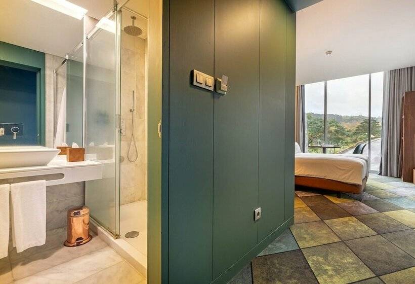 Номер Стандарт, Octant Furnas