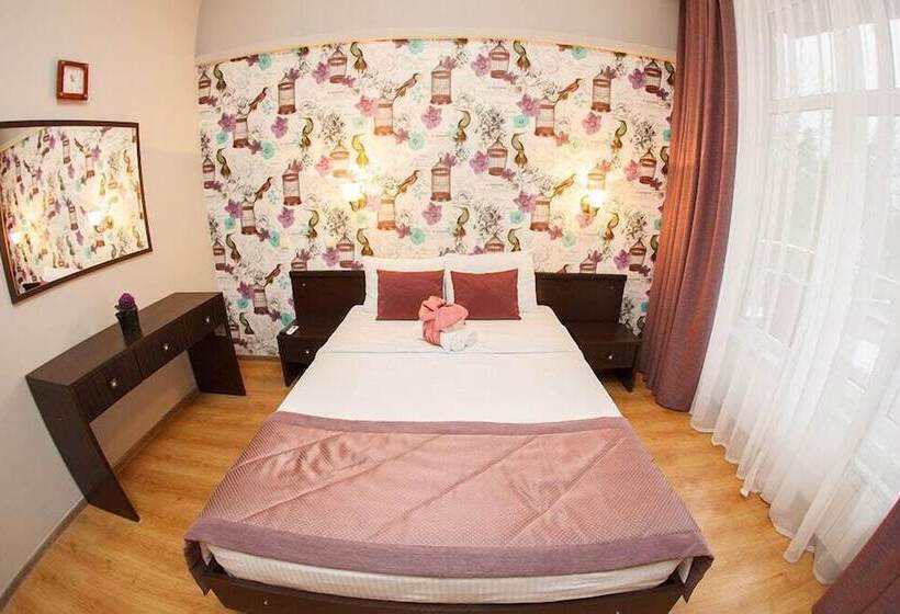 اتاق سوپریور, Arli