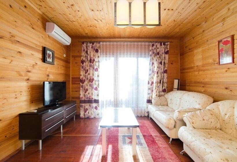 استودیوی لوکس, Arli