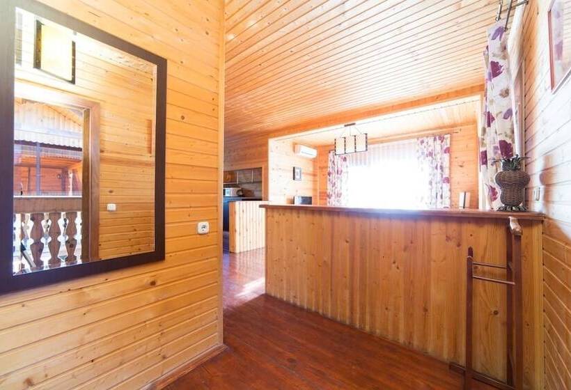 استودیوی لوکس, Arli