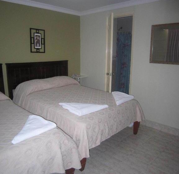 高级大房间, Bella Vista