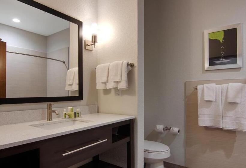 מיטת קינג בסוויטה, Best Western Plus College Station Inn & Suites