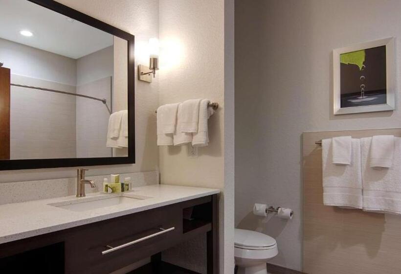 מיטת קינג בסוויטה, Best Western Plus College Station Inn & Suites